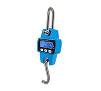 Balance à grue numérique, Mini Balance À Grue Suspendue 300KG 0.1KG, Crochet Électronique, Unité De Conversion Pesage Industrielle Portable N Lb Kg Ud, Usage Commercial,Ferme,Pêche, Poisson,(Blauw)