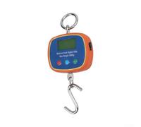 Balance à suspendre double face LCD 300 kg avec crochet en acier - Balance précise pour industrie et entrepôt - Orange 30 x 12 cm