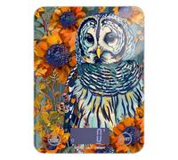 Balance alimentaire numérique portable Motif hibou barré 5 kg/5 g avec 4 unités pour la préparation des repas, expresso, fabrication de savon (piles non incluses)
