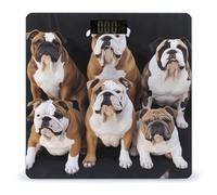 Balance de bouledogues anglais pour poids corporel - Balance numérique de haute précision avec écran LCD - Antidérapante - Robuste - En verre trempé - Pour un usage domestique