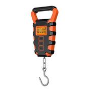 Balance de pêche numérique 50Kg/10g avec règle poignée poisson balances étanches for bagages pesant balance suspendue Steelyard Artisans ou Ouvriers(A5)