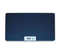 Balance Digitale Vétérinaire - GIMA - Grande - Electronique - Mixte - Bleu - Portée 100 kg