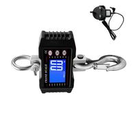 Balance industrielle à suspendre étanche avec grues puissantes, appareil de mesure du poids pour entrepôt et expédition petite