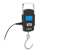 Balance numérique électronique de chargement USB 55kg/10g, balances de poids de bagages à Double précision for de pêche à crochet suspendu pour Garage Ferme