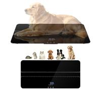 Balance Numérique pour Chiens et Chats, écran LCD