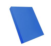 Balance pad, pad d'équilibre 'exercice Pad d'équilibre grand | Roue de BULLY MATE Initiation, Propriétés d'Altérité Antidérapantes, Alter Exercice pour le Fitness Maison Pilates Yoga