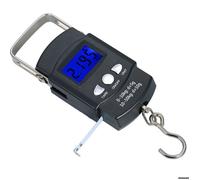 Balance poche électronique portable LCD rétroéclairé pour hameçons pêche bagages poste cuisine mini balance numérique précise