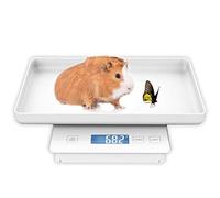 Balance pour petits animaux 11 lb/0,1 g, pour mise bas, pour cochon d'Inde, haute précision 0,003 oz, convient à tous les nouveau-nés, chatons et tortues.