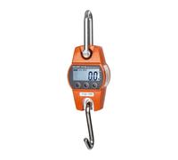 Steinberg Crochet Peseur Balance à Grue Professionnelle Rouge SBS-KW-300/100-O (300 kg / 100 g, kg/lbs/N, structure en aluminium moulé, 3 x AA = Durée de fonctionnement 150h, LCD)