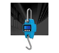 Balance suspendue numérique, 300 kg balance suspendue Portable Mini industriel électronique robuste crochet de poids LCD grue numérique outil ferme(Blauw)