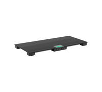 Steinberg Systems Balance vétérinaire 150 kg/50 g avec tapis antidérapant LCD pour petits animaux Balance plateforme au Sol Industrielle Agriculture