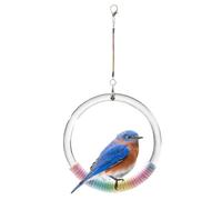 Balançoire pour oiseaux - Jouet pour perroquet | Perchoir en corde pour oiseaux, balançoires arc-en- pour perruches, calopsittes, conures, petits perroquets, perchoirs d'escalade en corde de coton