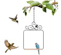 Balançoires et perchoirs pour Les colibris Perchoir décoratif avec Cadre