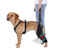 BALAPET Attelle de jambe arrière pour chien pour blessure du LCA/CCL, harnais de soutien de jambe arrière à charnière pour pattes arrière faibles, ligue ligue déchirée, récupération post-opératoire