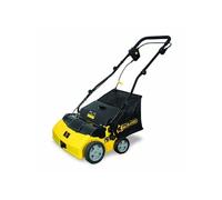 Balayeuse à gazon 1600 W