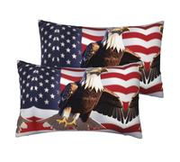 Bald Eagle with American Flag Printing Pillows Protectors Set of 2 Double-Sided Cushion Case Soft Pillowcases for Couch Patio Summer 40X60Cm