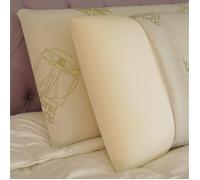 BALDIFLEX 2 Oreillers Mémoire de Forme 70 x 40 x 11cm déhoussables en Aloe Vera