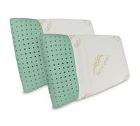 Baldiflex Lot de 2 Oreillers a mémoire de Forme écologique Ecogreen, Housse zippée en Aloe Vera Anti-Acariens et Hypoallergénique, 70x40x11 cm