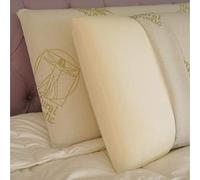 Baldiflex Paire de coussins, Oreillers 40 x 60 cm en mousse à mémoire de forme. Housse respirante anallergique en aloe vera.