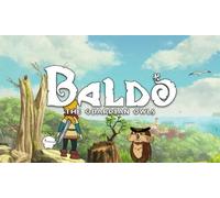 Baldo: The Guardian Owls (Steam Account)