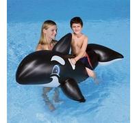 Baleine à chevaucher 203cm G