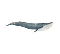 Baleine bleue