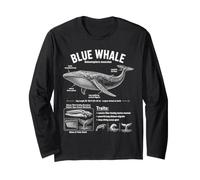 Baleine Bleue Biologie Marine Infographie des Sciences de l'océan Manche Longue