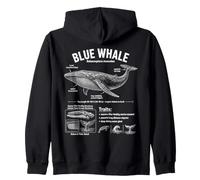 Baleine Bleue Biologie Marine Infographie des Sciences de l'océan Sweat à Capuche