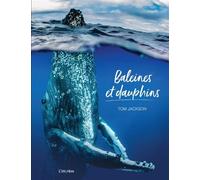 Baleines et dauphins - Tom Jackson - L'imprevu-Adulte - relié - Beau livre