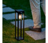 Balise Extérieure sur Pied Solaire 2W 40cm Aluminium avec Détecteur de Mouvemen