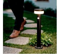 Balise Extérieure sur Pied Solaire LED 50cm Aluminium Ashier Noir
