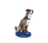 Ball Dynamics Int. LLC FitPAWS Disque d'Equilibre | Pack de Base pour Chien Bleu 36 cm