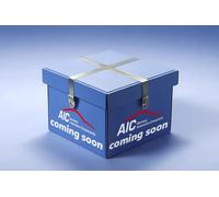 Ballast de xénon arrière 74985 AIC