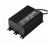 ballast électronique Ballast électronique HID 70w 100w 150w 250w 400w Lampes à sodium haute pression à économie d'énergie et respectueuses de l'environnement Éclairage et circuits(250w)