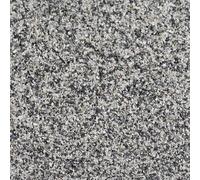 Ballast en granit TAMS Elektronik 79-10302 gris clair 500 ml N, TT