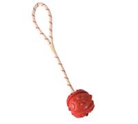 Jeu aquatique Balle sur corde, Dimensions: ø 7 x 35 cm, couleur aléatoire, pour votre chien. - - TR-33482