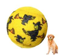 Balle à mâcher pour chien, balles rebondissantes pour chien,Modèle de sorcière de boules de formation de chiot - Herding Jolly Ball - jouets interactifs pour animaux de compagnie, jouets d'eau gonflab