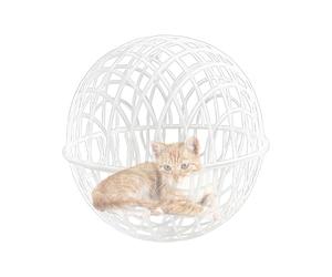 Balle à poulet - Support d'exploration active - Cage à billes - Sécurité - Design rond - Alimentation portable - Enclos pour lapins, canards, pigeons