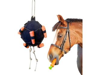 Balle à pour Cheval Distributeur Lent De Carottes Pour Chevaux