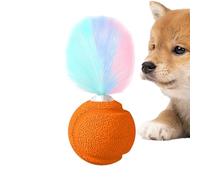Balle Avec Plumes Jouet Chat - Baule Interactive Chaton Avec Son | Divertissement Gonflable | Outil D'entraînement De L'exercice | Accessoires De Jeu En Plein Air Pour Chattes Indoor Cats, Activité Am