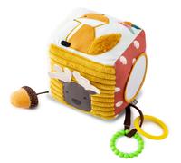 Balle / cube d'activités