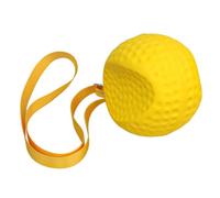Balle D'aide À L'entraînement De Golf, Développe Rapidement La Mémoire Musculaire, Fabriquée À Partir De Mousse Eva Et De Nylon, Outil D'entraînement De Golf, Entraîneurs De Swing, À Utiliser N'import