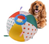 Balle De Berger Pour Chien Grands gonflables d'enrichissement