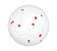 Balle de Foot pour Chien Nettoyage des Dents Élastique Anti-Morsure