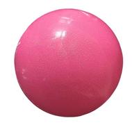 Balle De Gymnastique Rythmique -Housse Balles D'exercices Fitness Et Accessoires | PVC Ballon De Gymnastique Rythmique | Matériel Anti-ÉClatement pour Entraînement, Danse Et Compétitions