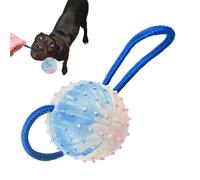 Balle de jouet pour animaux de compagnie - Balle en corde pour chien | Balle interactive pour animaux de compagnie Jouet pour chien résistant aux morsures | Lanceurs de balles grinçantes