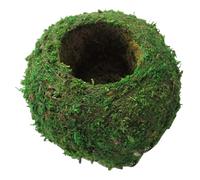 Balle de Mousse, 6 Pouces Planteur Naturel Bonsaï Moss Kokedama Flower Pot pour Le Jardinage DIY Plantation de Table Home