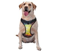 Balle de Tennis dans Le feu et l'eau,Harnais pour Animaux de Compagnie, Harnais réfléchissant réglable pour Chien,M