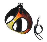 Balle de Tennis dans Le feu et l'eau,Harnais pour Animaux de Compagnie, Harnais réfléchissant réglable pour Chien,S