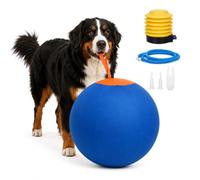 Balle de troupeau pour chien Taille L | Balle gonflable pour chien Border Collie